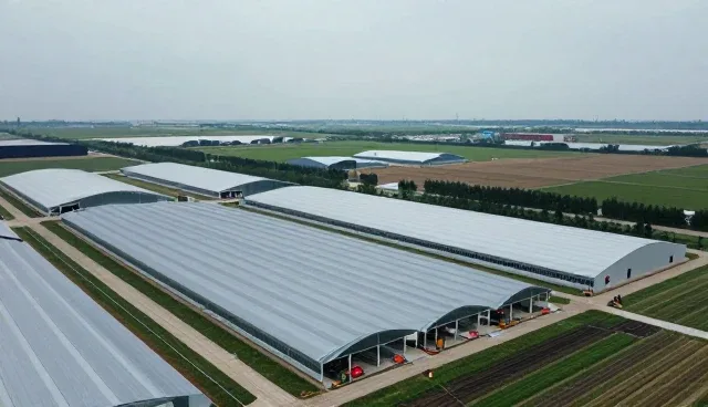 包装升级如何影响仓储保鲜性能与适用场景
